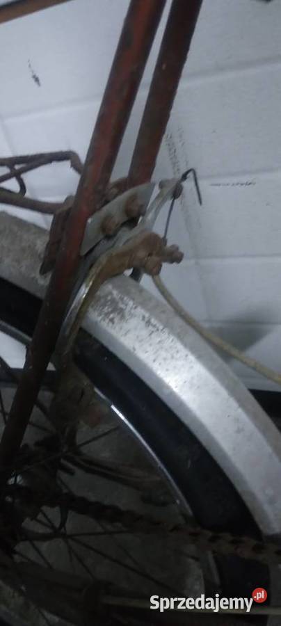 Wigry uniwersal Sanniki