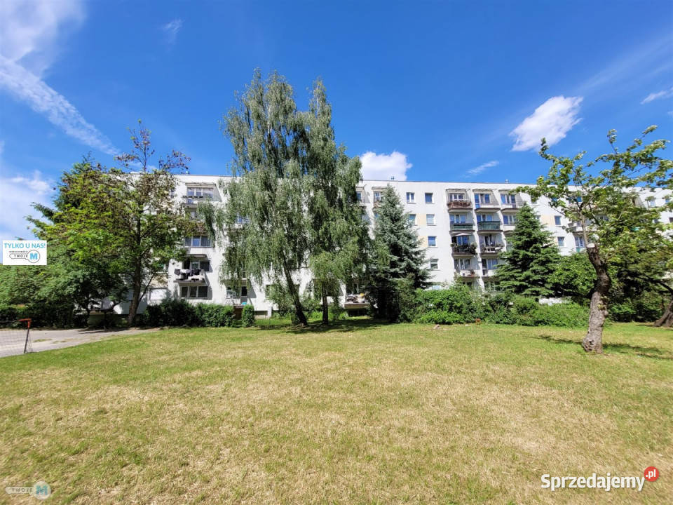 Ogłoszenie mieszkanie Kielce 522m2 3 pok