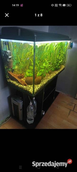 akwarium kompletne Czeladź