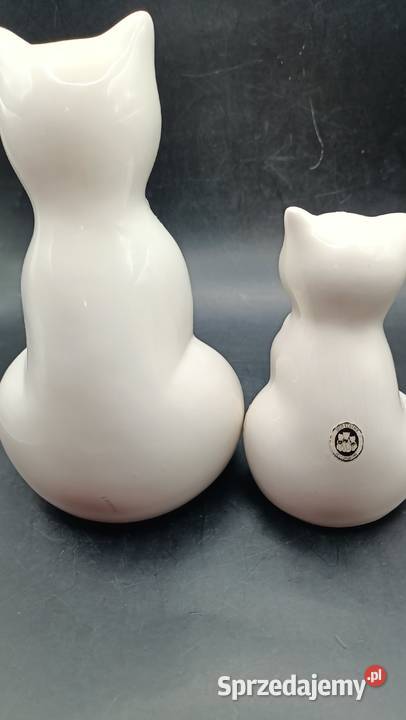 Para białych kotów Rosa Ljung Helsingborg Zamość sprzedam