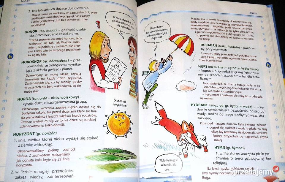 Ilustrowany słownik wyrazów obcych Katarzyna Rok wydania 2015 Pozostałe sprzedam