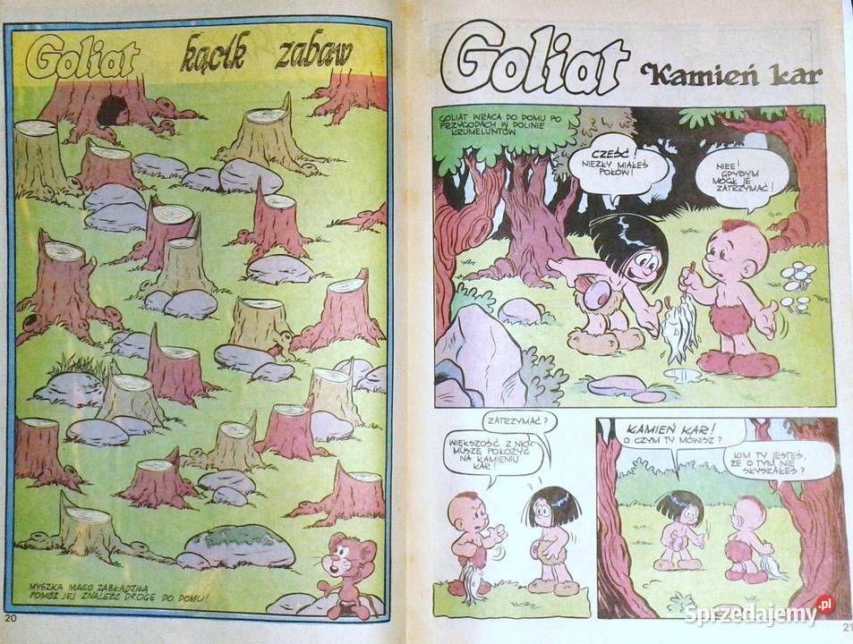 Goliat W krainie Krumeluntów Kamień kar 021991 Chełm