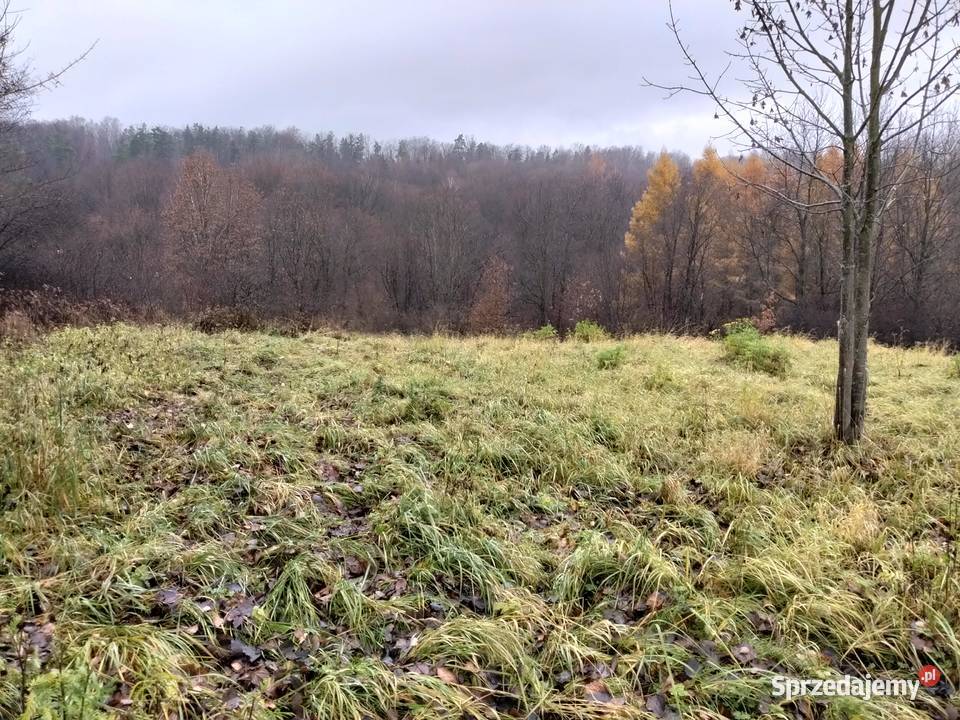 Sprzedam działę Pozostałe