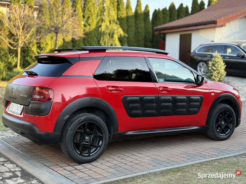 Citroen C4 Cactus Polski Salon Bezwypadkowy małopolskie Międzygórze