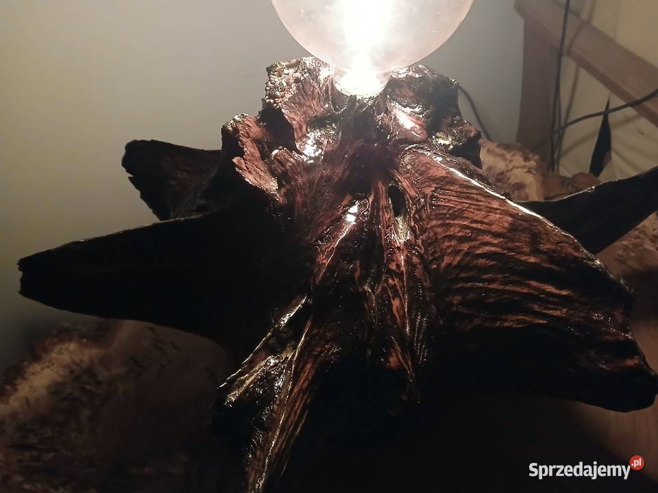Lampa z dębowego korzenia Skawina