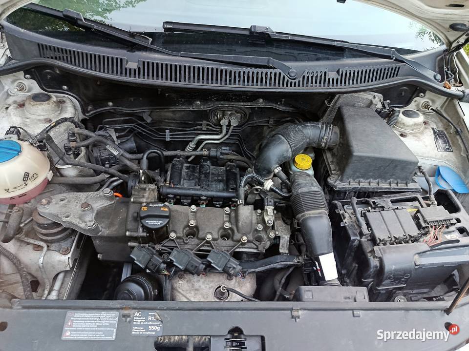 Volkswagen Polo IV 9N 12 Benzyna 2007r Biały