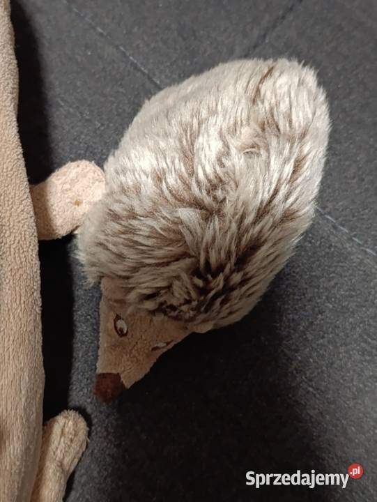 rodzina jeży pluszowa zabawka maskotka pluszak Poznań