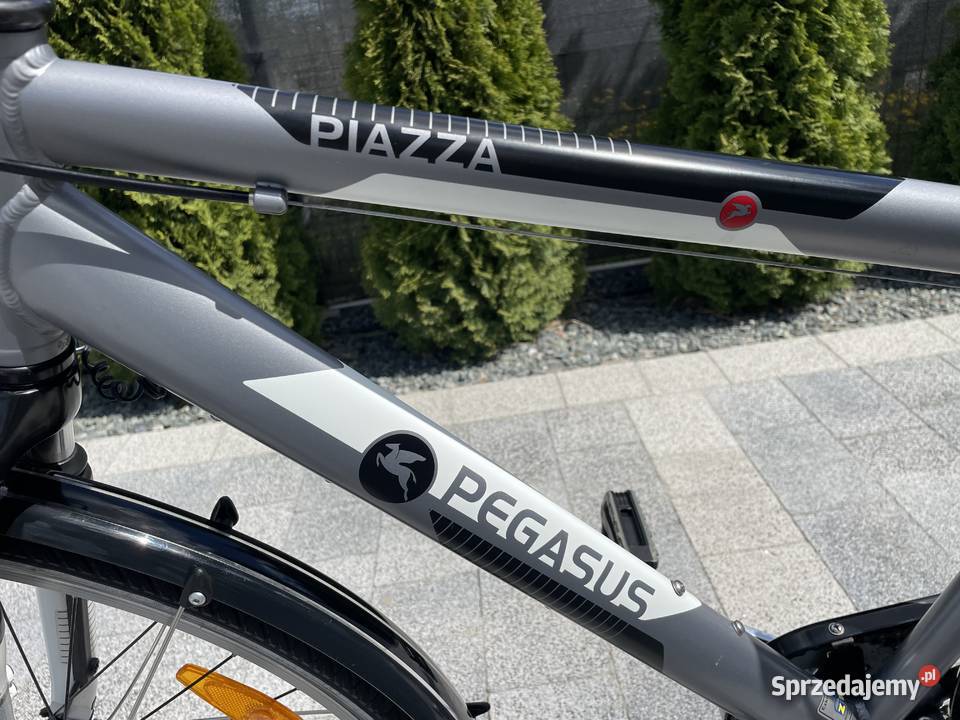 Pegasus Piazza Rower Męski 28 Damski Miejskie