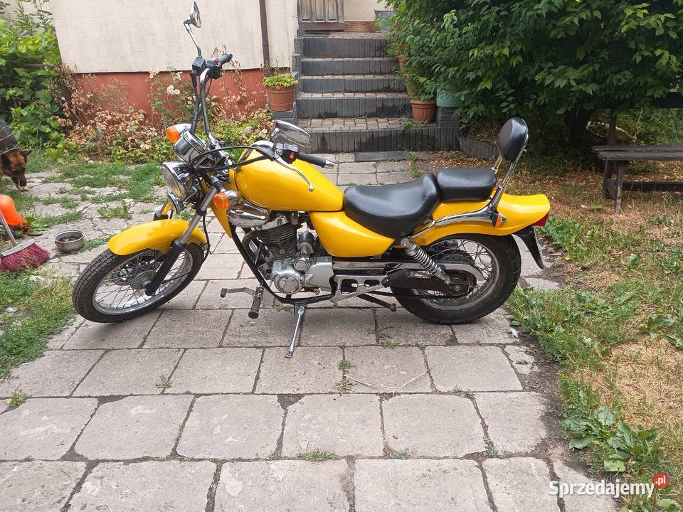 Motor Chopper Rex 125 Chełm