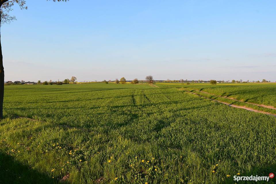 Sprzedam grunty rolne 1047 ha OKAZJA