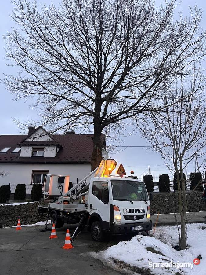 Usługi podnośnikiem koszowym 22m Nowy Sącz