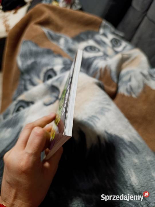 Angry Birds zatytułowana Kapitan Badburger  Książki dla dzieci