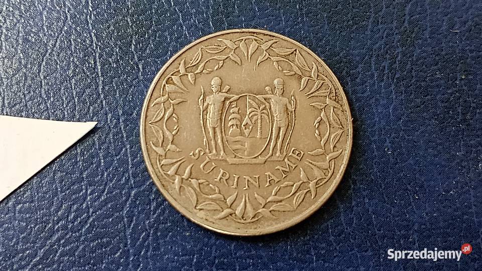 Stare monety 250 cent 1987 Surinam Lesko sprzedam