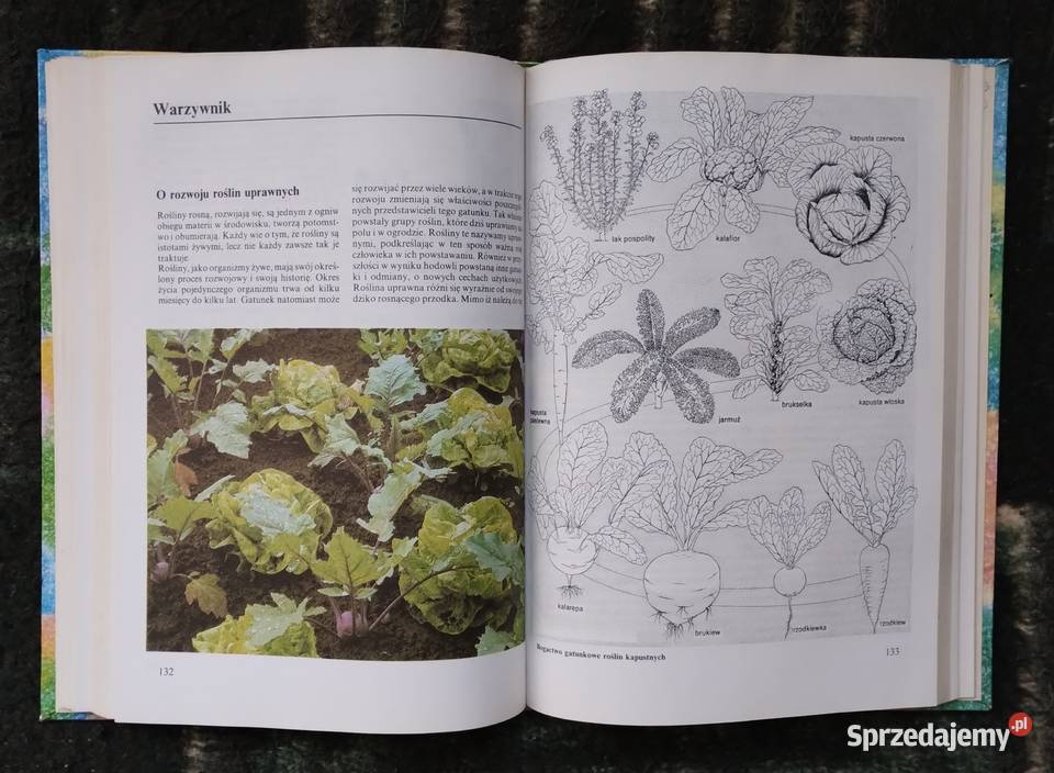Ogród biodynamiczny Krafft von Heynitz Georg Bełchatów
