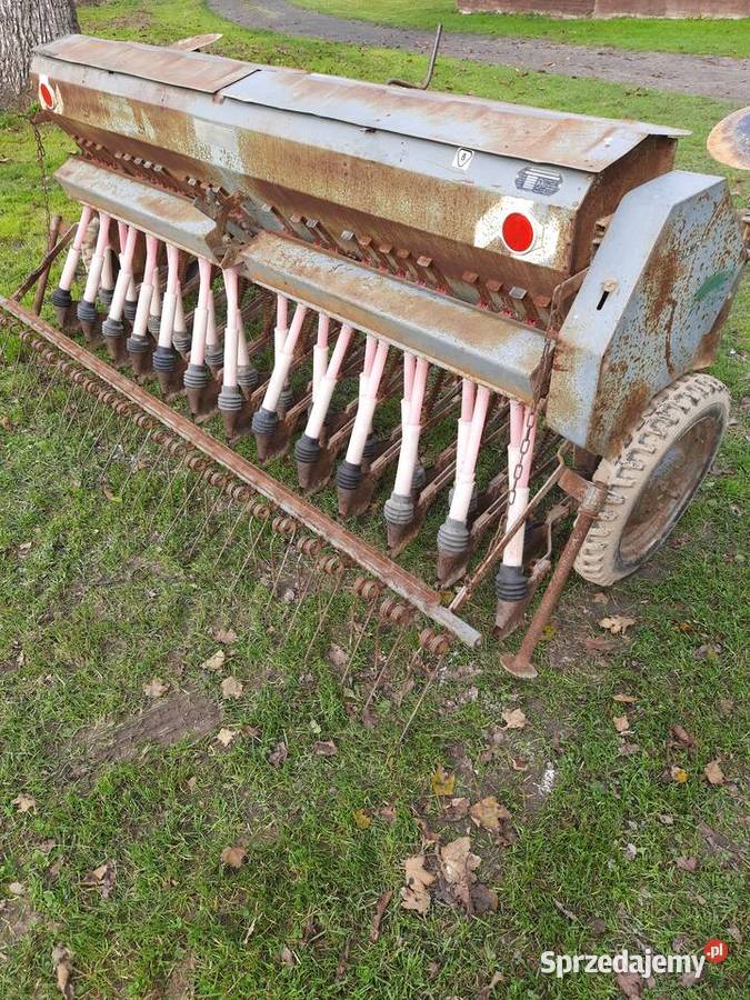 Siewnik Poznaniak lubelskie Wysokie