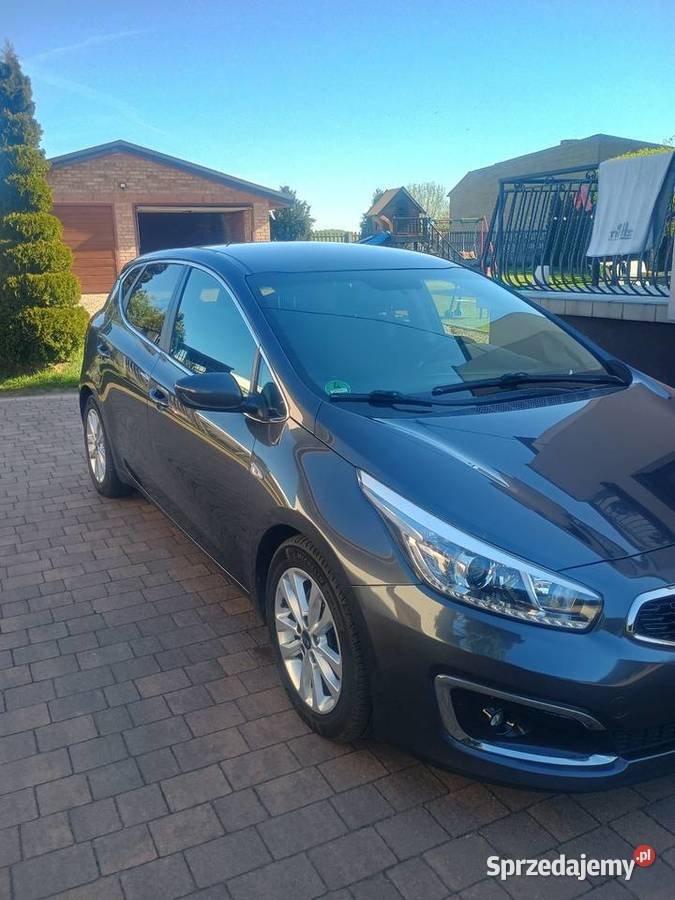Kia Ceed nawigacja