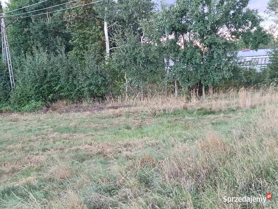 Pole łąka Opole chmielowice
