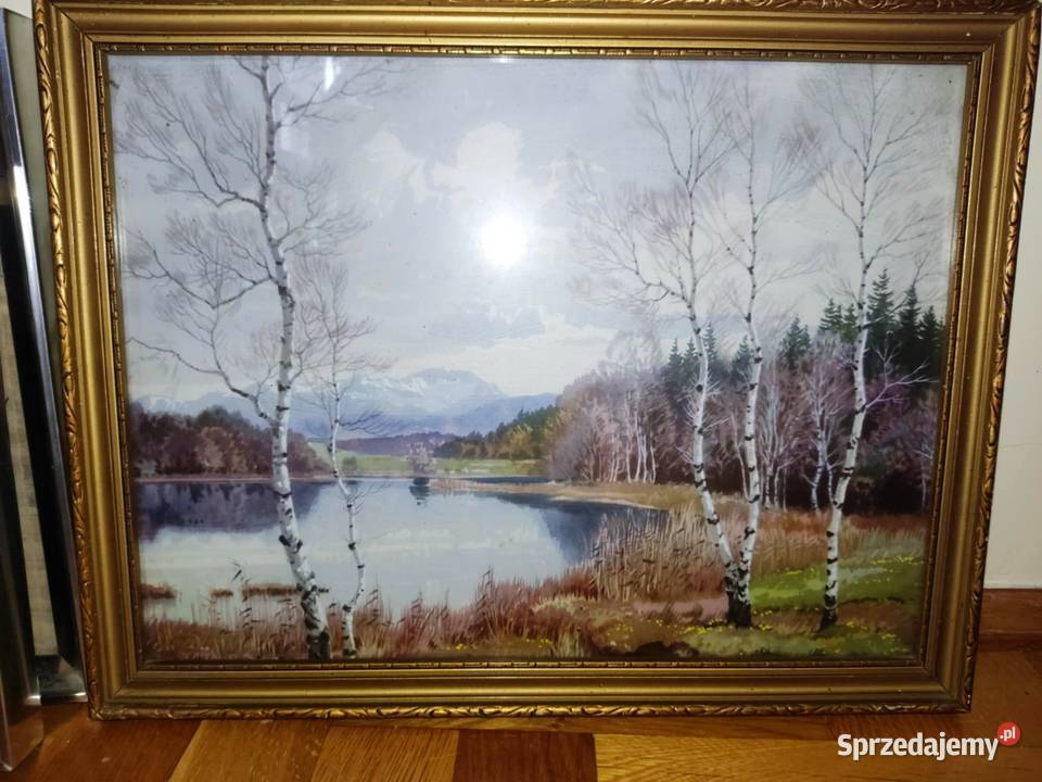 obrazy obrazki różne wyprzedaż Gorzów Wielkopolski