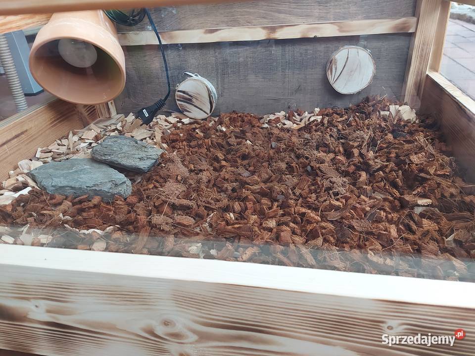 Terrarium rzemieślnicze żółwia lądowego Opole sprzedam