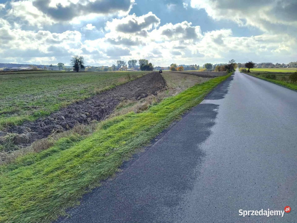 Grunt sprzedam Borków 11200m2 Sprzedaż