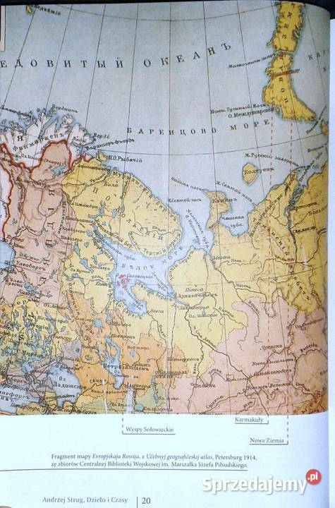 Andrzej Strug Dzieło i czasy Anna Kargol twarda Chełm sprzedam