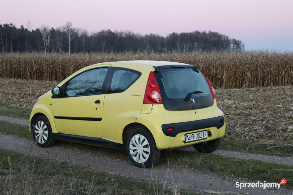 Peugeot 107 10 Benzyna 2008r Tanio Możliwa Warszawa
