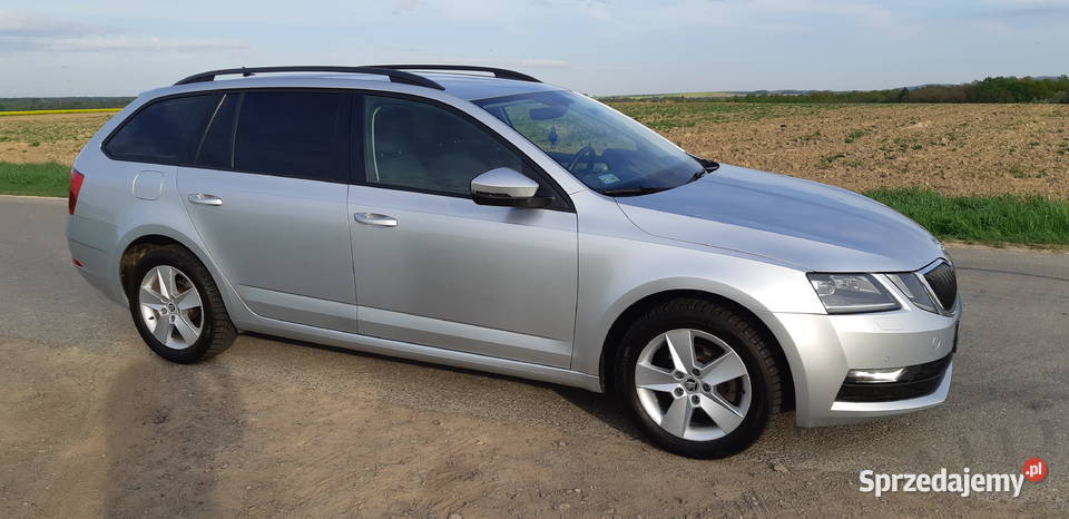 Skoda Octavia 16 TDI Ambition DSG Nowy Świętów