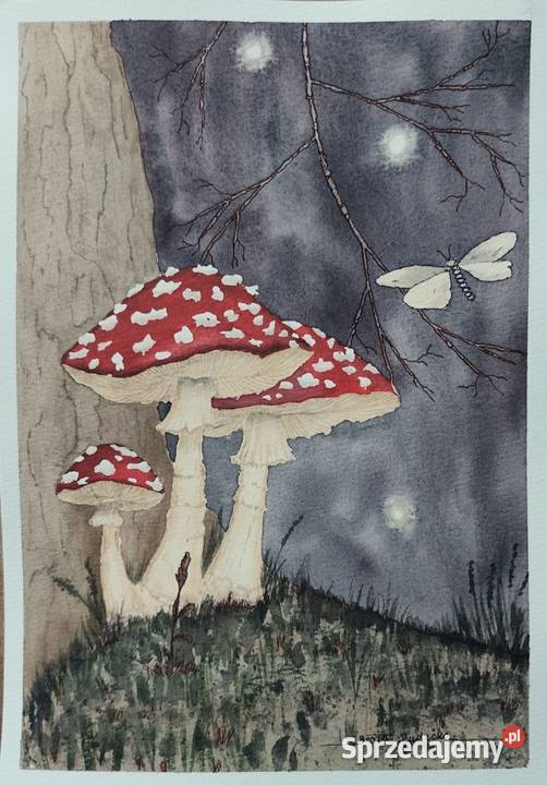 Akwarela Akwarelka Obraz pt Muchomorki