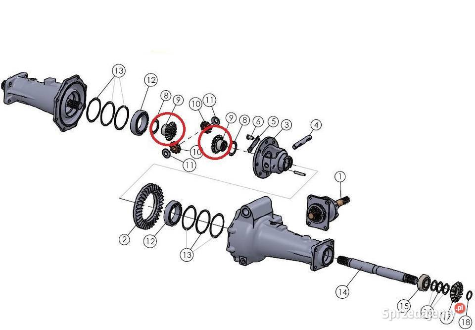 Koło zębate przekładni mechanizmu różnicowego Tajęcina
