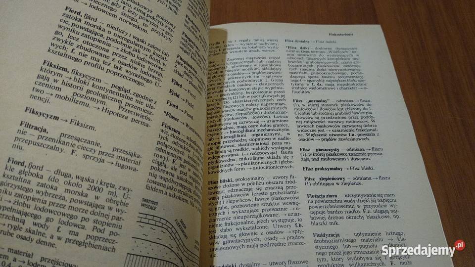 Słownik geologii dynamicznej Wojciech Gdańsk
