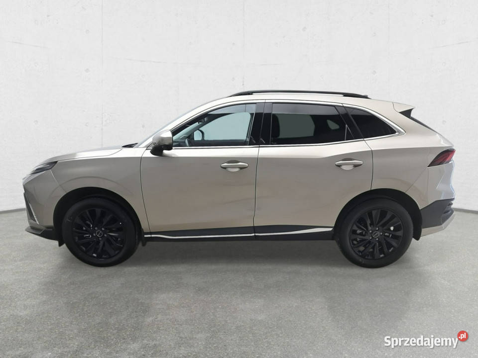 Forthing Inny Poleasingowe VEH Motoryzacja