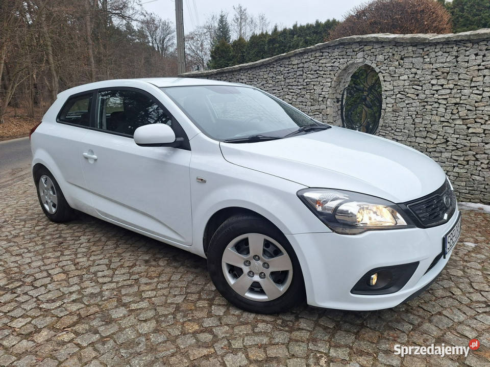 Kia Pro Ceed 14 Edition 7 biały Siewierz