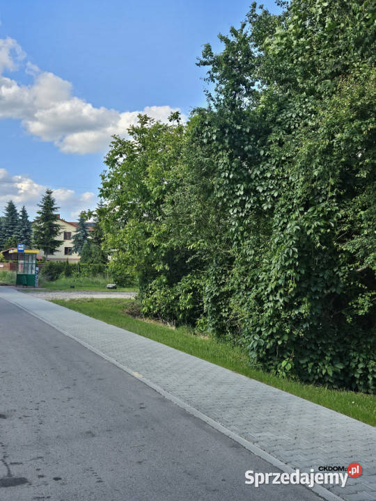 Wyjątkowa działka budowlana Dąbrowa gm Masłów