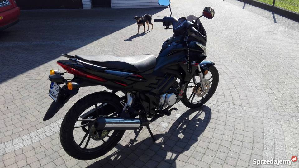 Kingway street 50 Zipp SHOCK nieuszkodzony małopolskie Osiek