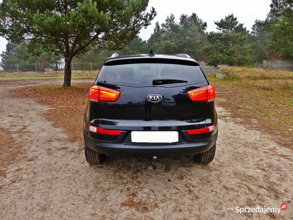 Kia Sportage 17 Piła
