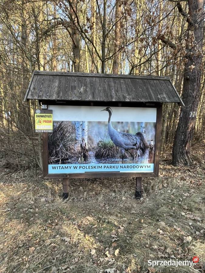 Poleski Park Narodowy Działka 15 ar Jezioro Wytyczno
