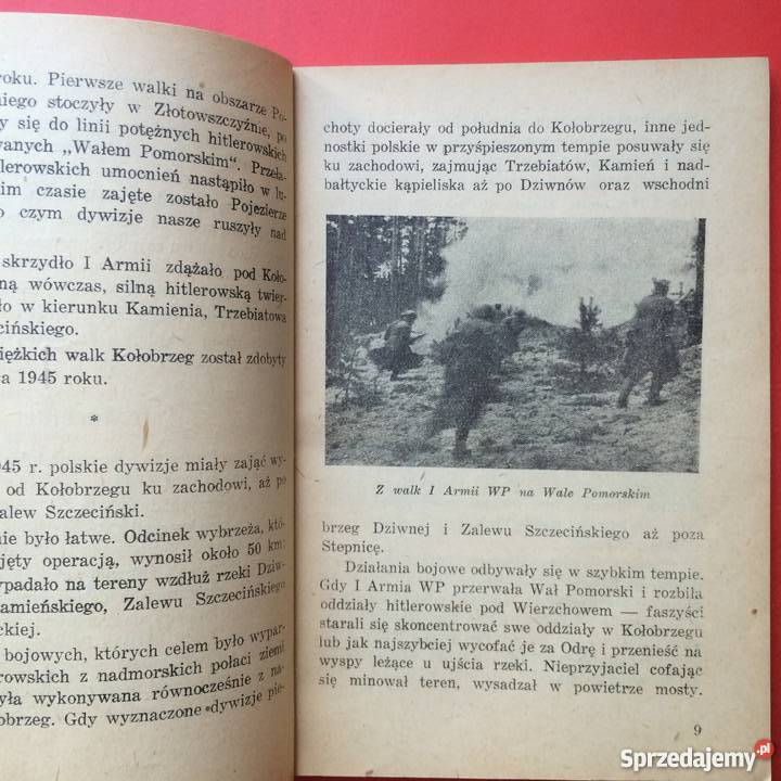 813 U Ujścia Odry sprzedam