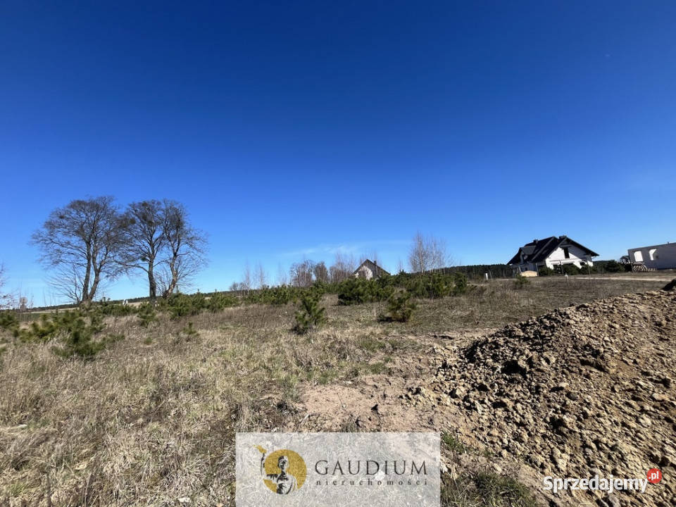 Działka pod budowę domu I 3104 m2 I gm Lubichowo Lipinki Królewskie sprzedam