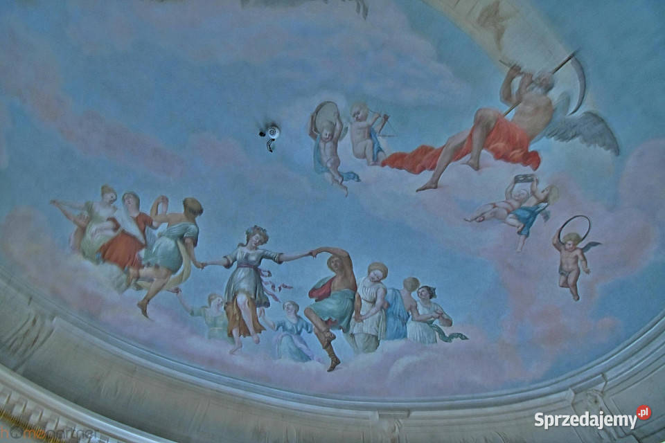 Lokal 37834m2 Wrocław