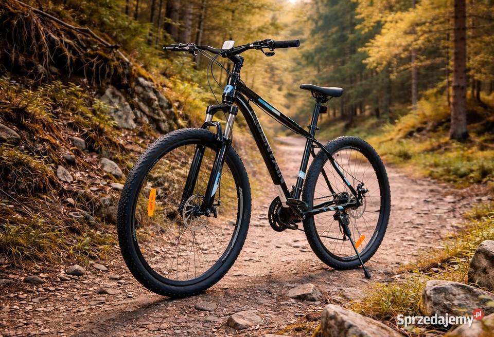 ROWER GÓRSKI MĘSKI KOŁA 29 STALOWY MTB 170180 21 Skawina