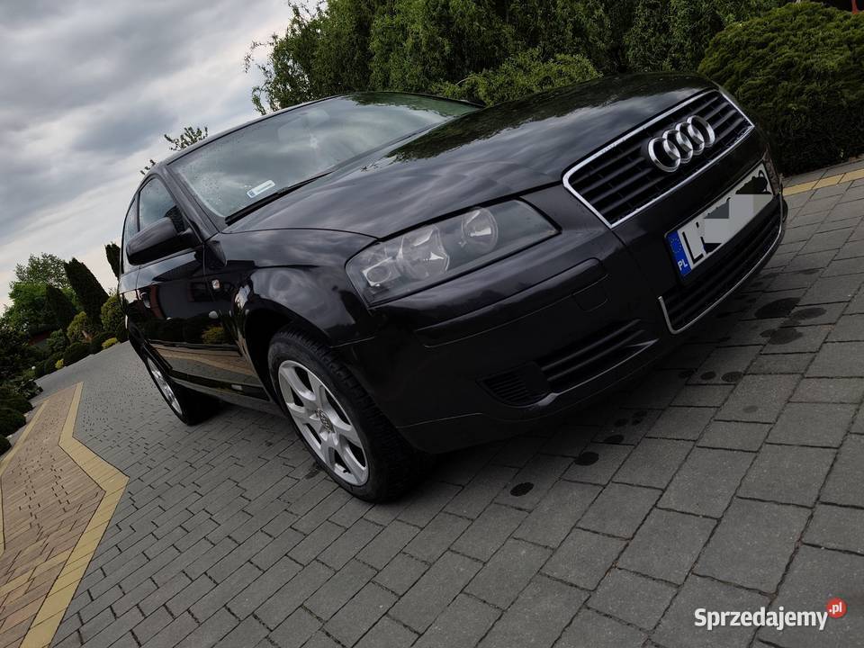 Audi a3 8p 16 mpi Radzyń Podlaski