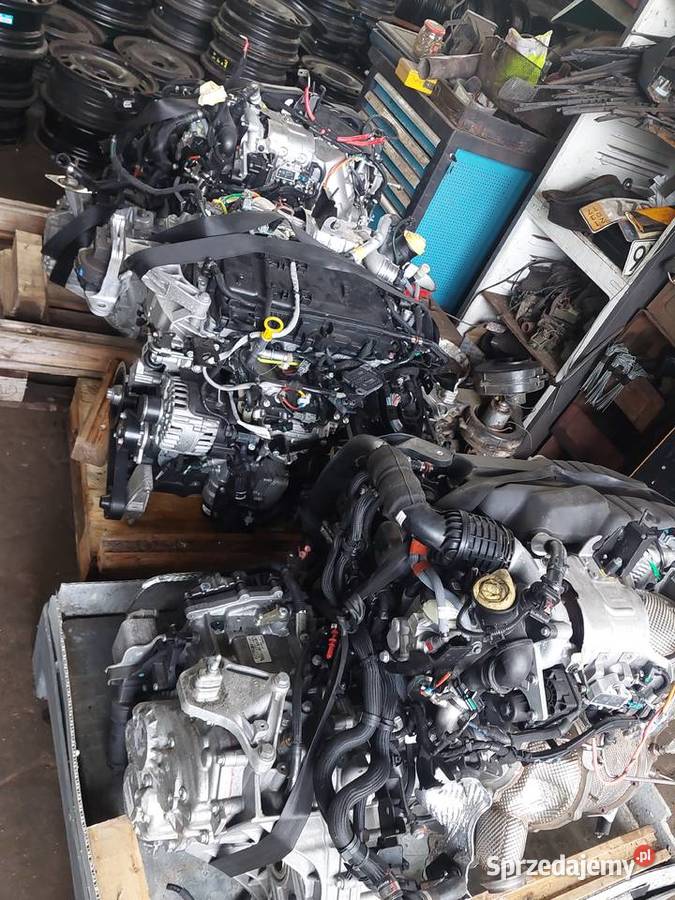 Renault Trafic 20DCI silnik skrzynia biegów Koszalin