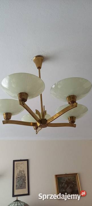 Mosiężny pięcioramienny żyrandol z kloszami w Skierniewice sprzedam