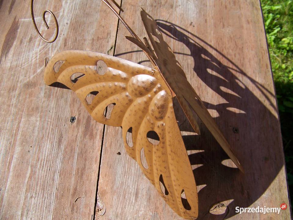 motyl metaloplastyka 40