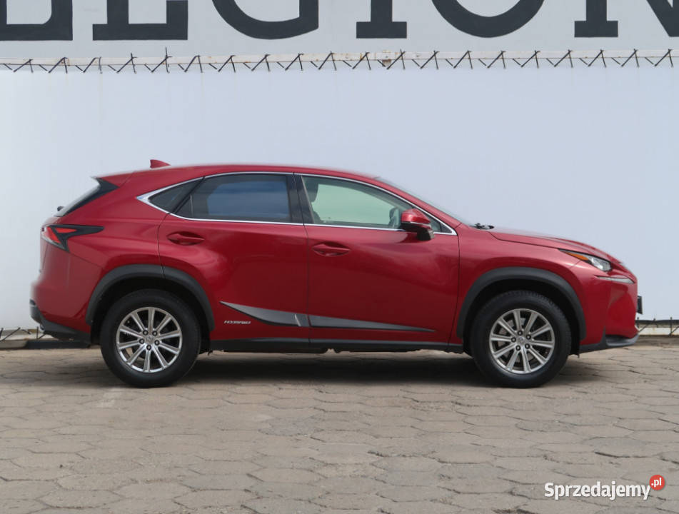 Lexus NX 300h nieuszkodzony NX Łódź
