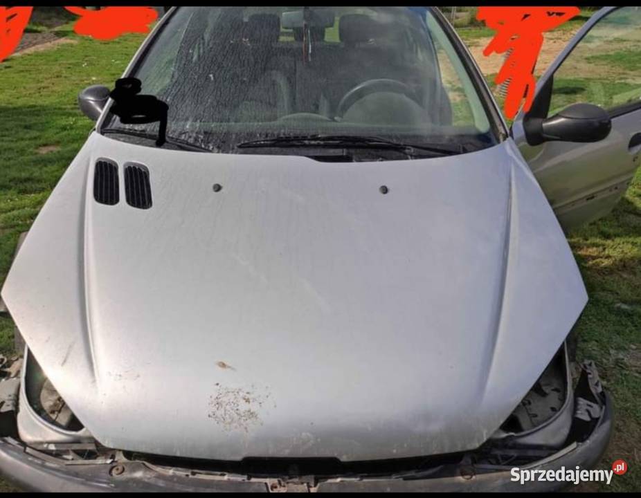 Peugeot 206 na części kod lakieru EZRC osobowe Tuszyn