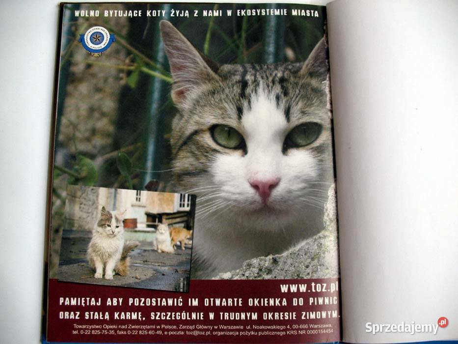 Koty Opieka książka polska BFogle AEdney Tom 1 Książki i Podręczniki Siedlce