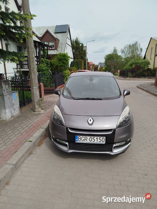 Renault Scenic Gdańsk