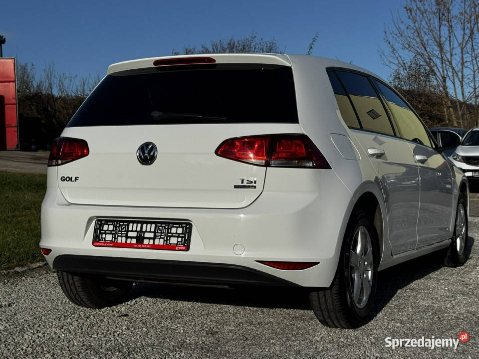 Volkswagen Golf VII 12 TSI 87 5drzwi Bały 2 kpl elektryczne lusterka Strzegom