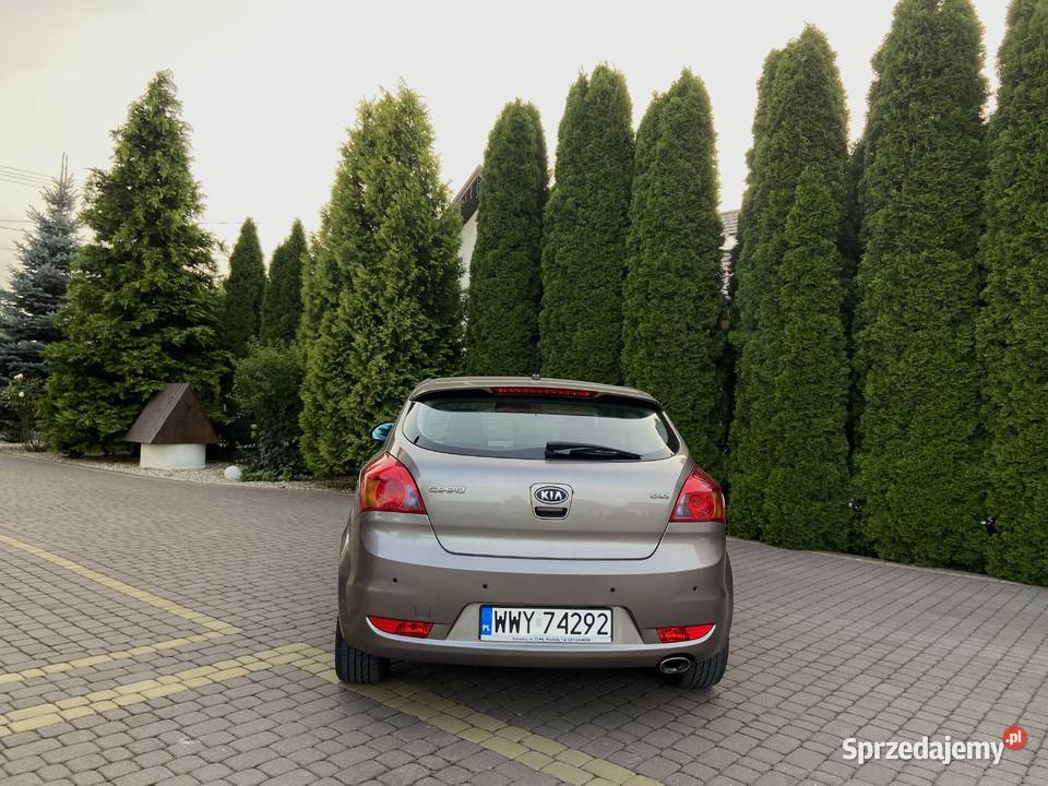 Sprzedam Kia Ceed Pro CEED 16 CRDI 116 253000km Brudki Stare